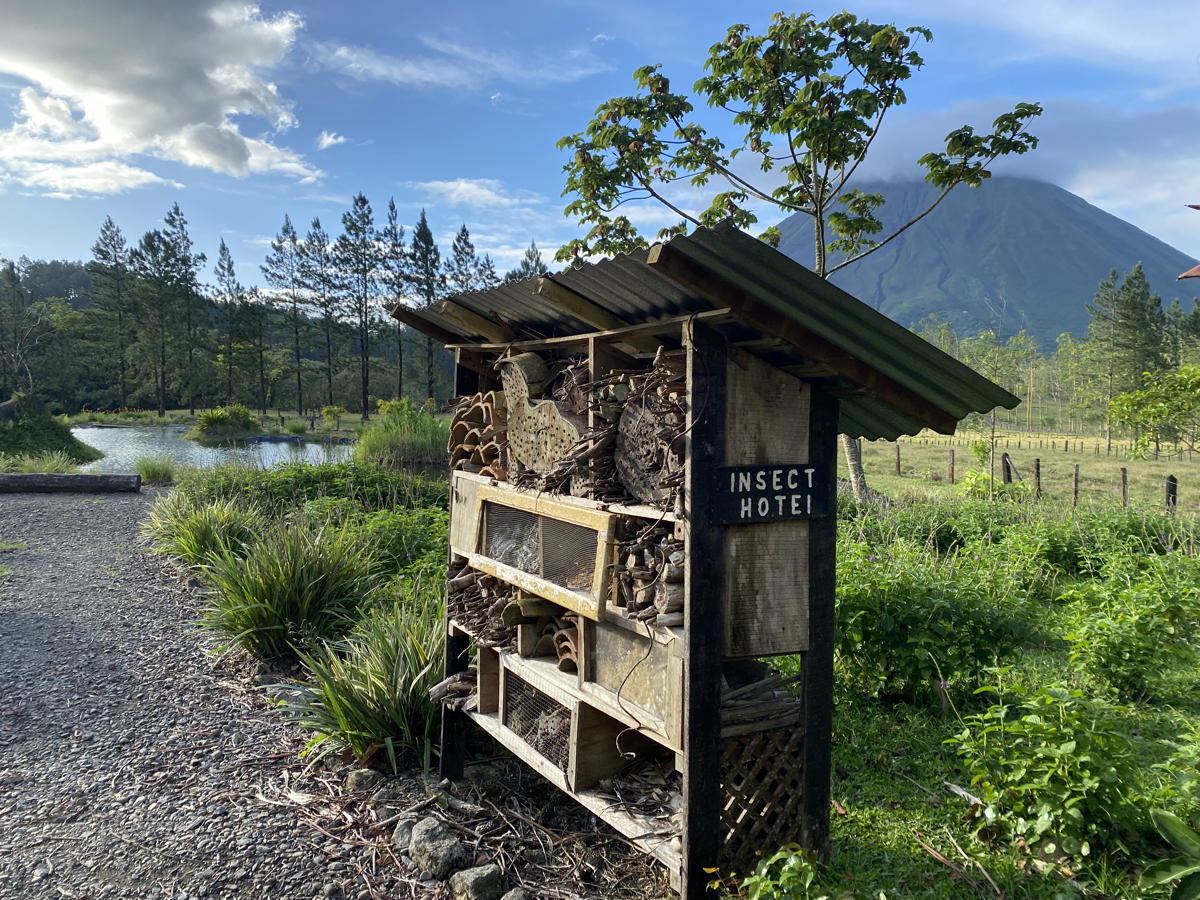 Arenal insect hotel